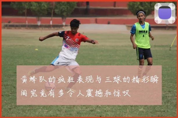 黄蜂队的疯狂表现与三球的精彩瞬间究竟有多令人震撼和惊叹